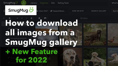 Meaning of mugmog .